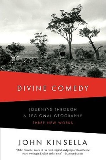 Divine Comedy