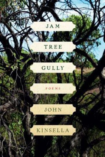 Jam Tree Gully