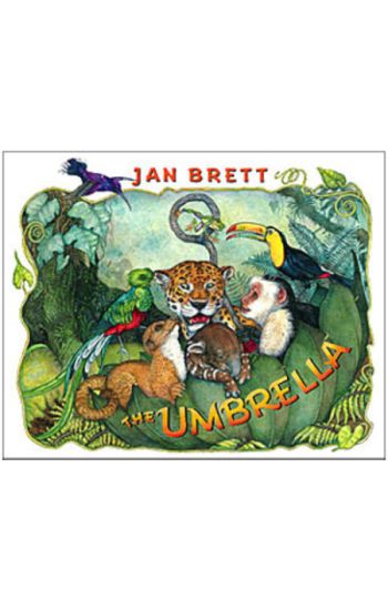 The Umbrella