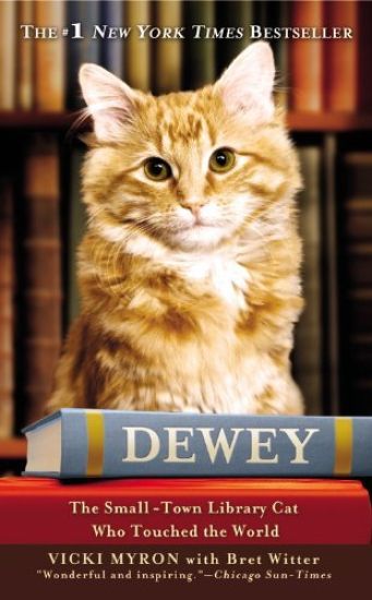 Dewey (Large Print Edition)