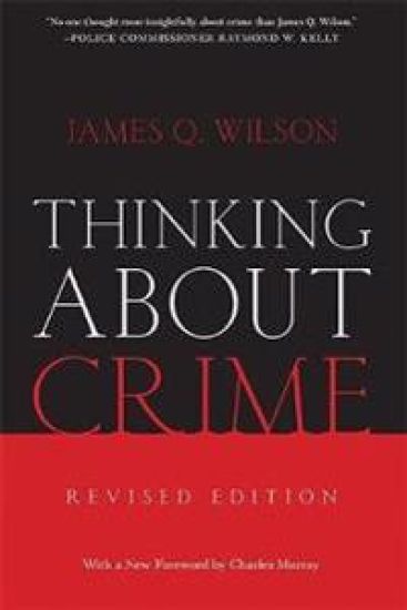 Thinking About Crime