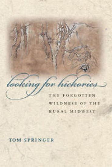 Looking for Hickories