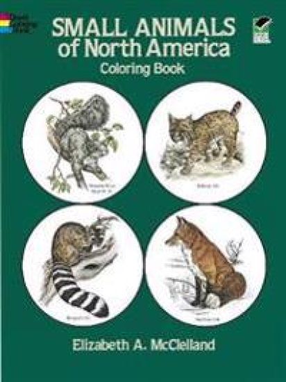 Small Animals of North America Coloring Book