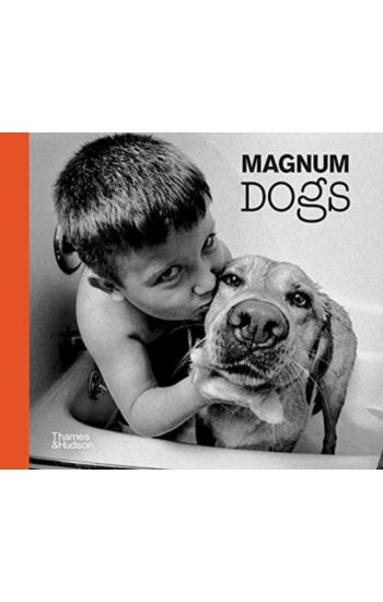 Magnum Dogs