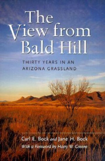 The View from Bald Hill
