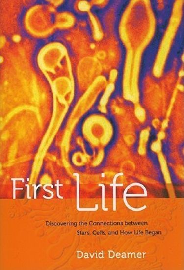 First Life