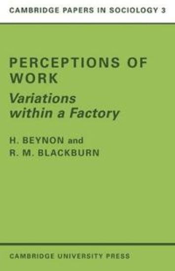Perceptions of Work