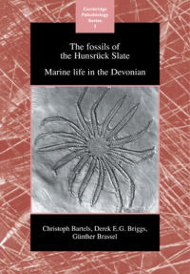 The Fossils of the Hunsrück Slate
