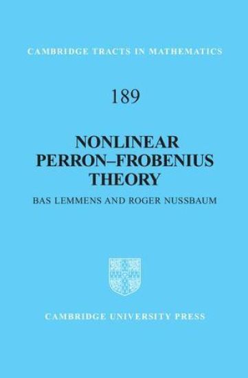 Nonlinear Perron–Frobenius Theory
