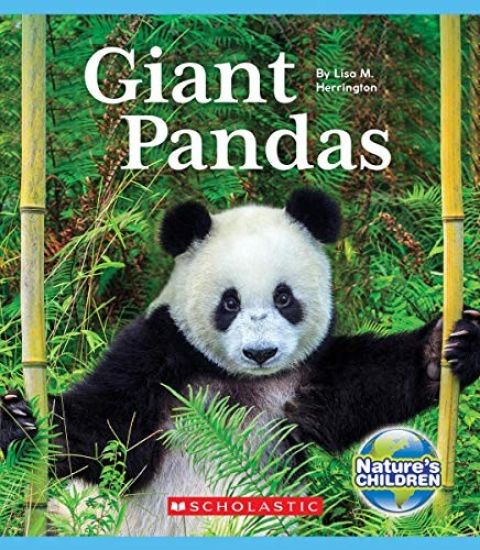 Giant Pandas (Nature's Children)