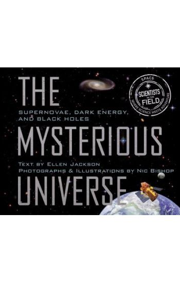 Mysterious Universe: Supernovae, Dark Energy, and Black Holes