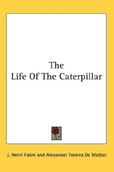 THE LIFE OF THE CATERPILLAR