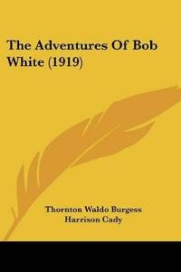 The Adventures Of Bob White