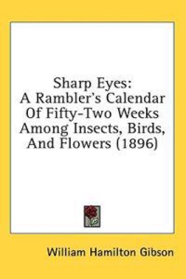 Sharp Eyes