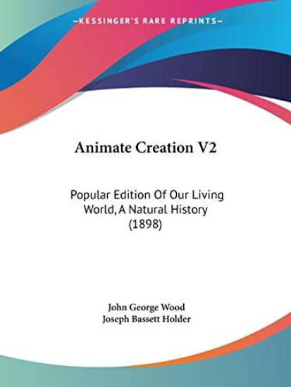 Animate Creation 2