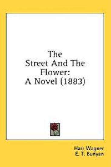 The Street And The Flower