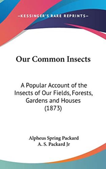 Our Common Insects: A Popular Account Of The Insects Of Our Fields, Forests, Gardens And Houses (1873)