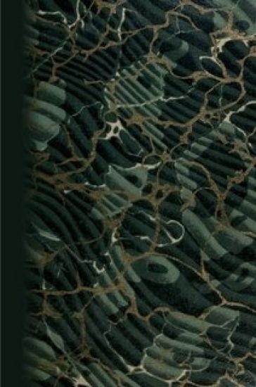 The Technique of the Novel