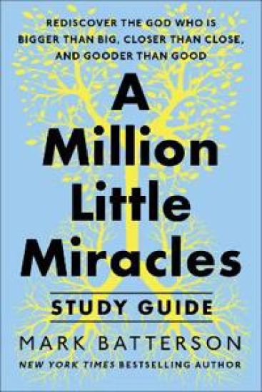 A Million Little Miracles Study Guide