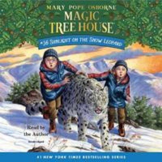 Sunlight on the Snow Leopard (Unabridged)