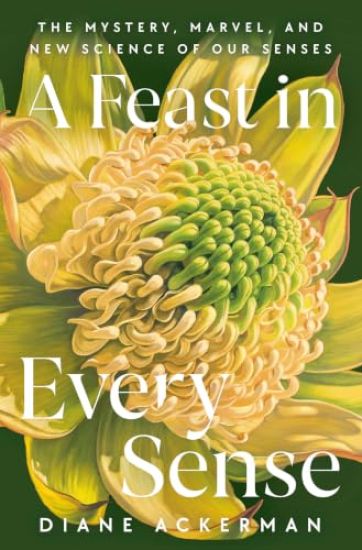 A Feast in Every Sense