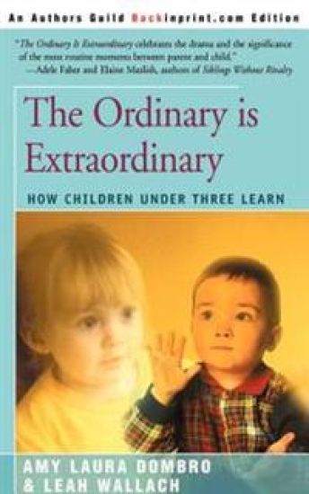The Ordinary is Extraordinary