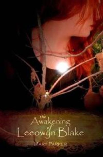 The Awakening of Leeowyn Blake