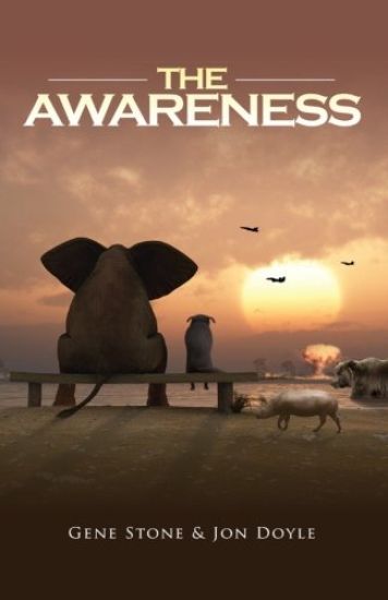 The Awareness
