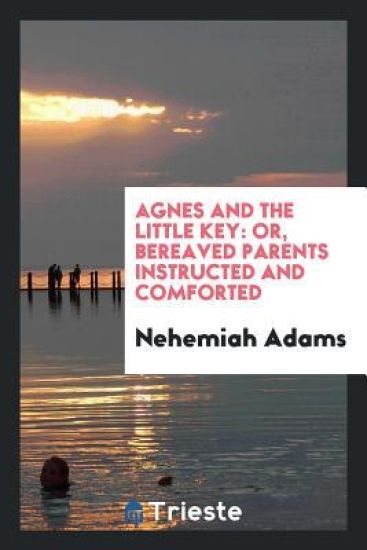 Agnes and the Little Key