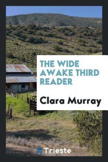 The Wide Awake Third Reader