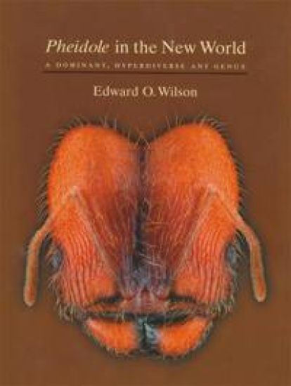 Pheidole in the New World