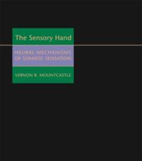 The Sensory Hand
