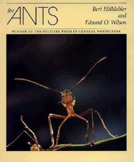 The Ants