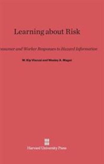 Learning about Risk