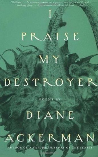 I Praise My Destroyer