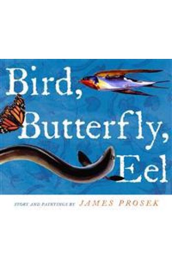 Bird, Butterfly, Eel