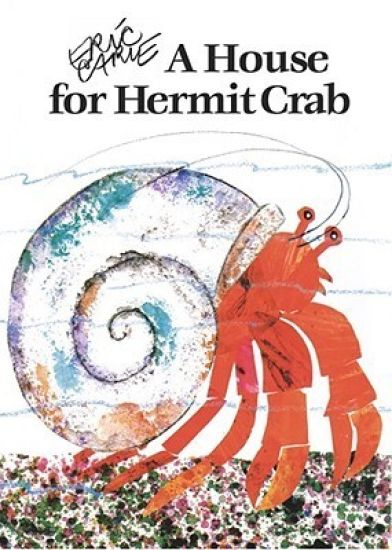 House for Hermit Crab