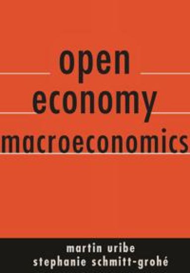 Open Economy Macroeconomics