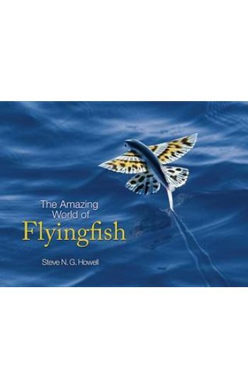 The Amazing World of Flyingfish