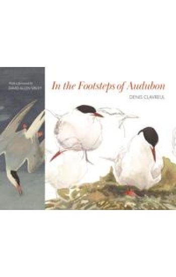 In the Footsteps of Audubon