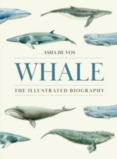 Whale