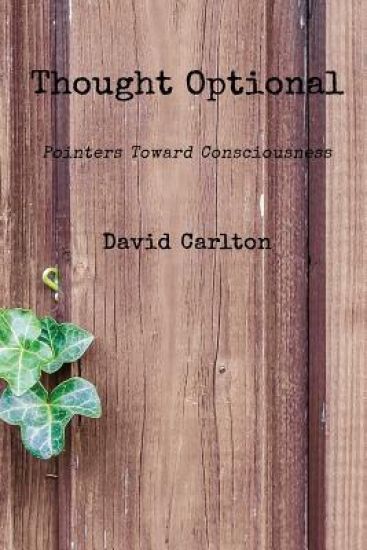 Thought Optional: Pointers Toward Consciousness