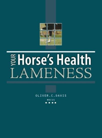 Your Horses Health Lameness