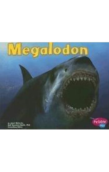 Megalodon