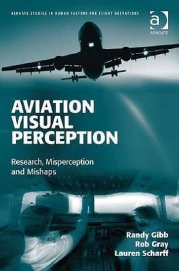 Aviation Visual Perception