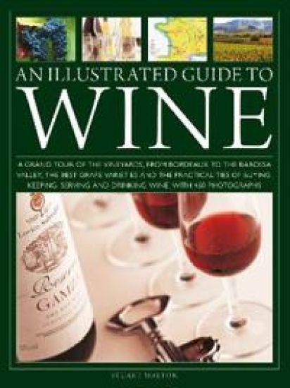 An Illustrated Guide to Wine