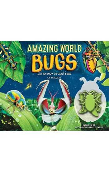 Amazing World: Bugs