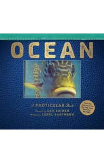 Ocean