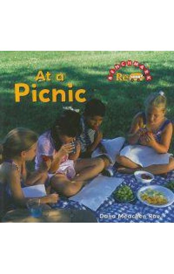 At a Picnic