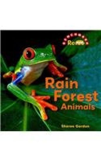 Rain Forest Animals